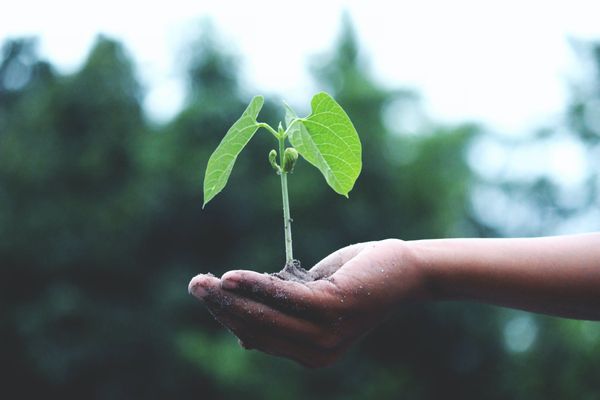 5 stratégies faciles pour la protection de notre planète